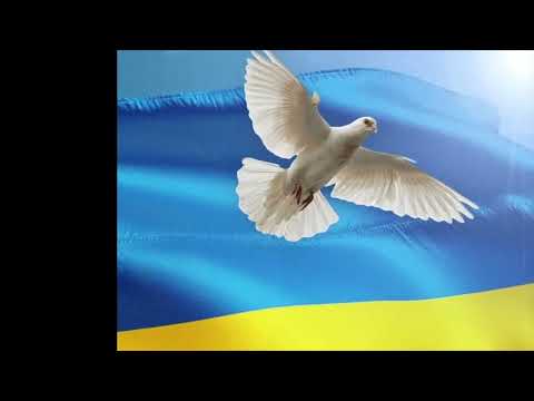 Poetry Slam - War in Ukraine