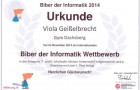 1. Platz - Biber der Informatik