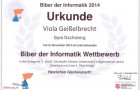 1. Platz – Biber der Informatik