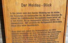 2AB: Waldtag im Mühlviertel