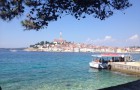 6N: Meeresbiologische Woche in Rovinj