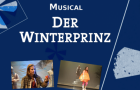 Winterprinz-DVDs