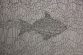 Katharina Steckbauer
