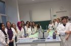 5N1: Mikrobiologie Workshop und Besuch der Pathologie