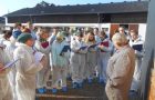 6N: Nutztierzucht und Geburtenstation
