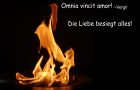 5N2: Lateinische Zitate und Alltagsweisheiten