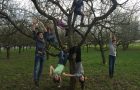 Leben Lernen im Schulgarten
