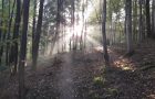 Herbstliche Impressionen aus dem Sportunterricht