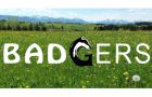 Badgers: Abschied in den Winterschlaf