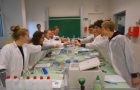 8N: Molekularbiologisches Praktikum