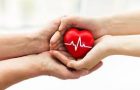 Organspende und Transplantation