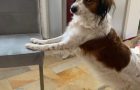 Bewegungssnack Teil 3 - einfache Übungen mit dem Sessel