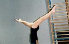 Information von den Sportlehrer/Innen - Flexplaner und Trainingstagebuch