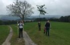 Wandertag der 4E nach Haibach ob der Donau