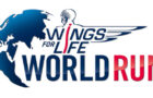 Wings for Life World Run 2022 – Ergebnisse Team Dachsberg