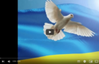 Poetry Slam - War in Ukraine