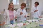 Open Lab Workshop der 8N-Klassen