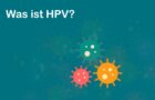 HPV-Projekte der 8N Klassen
