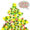 Lebendiger Adventkalender 2024 - letzte Woche