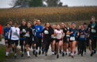 Cross-Country-Bezirksmeisterschaften in Dachsberg