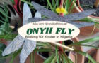 Bildung als Chance – Kuchenbuffet am 16. April für das Projekt Onyii Fly in Nigeria