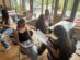 English in Action der 6A-Klasse 11